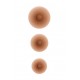 Nippel