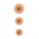 Nippel